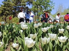 -长春公园(普阳街道)