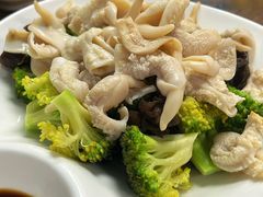 辣根鸟贝-鲁前海沿儿