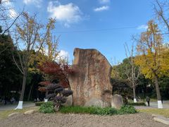 -丰收日(五角场店)