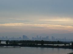 -合肥滨湖国家森林公园