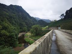 -水墨汀溪风景区