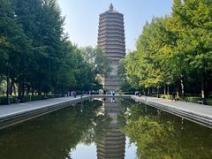 -玲珑塔公园