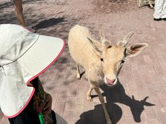 -水上乐园·欢乐世界