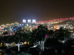 -枇杷园食为鲜火锅(南山店)