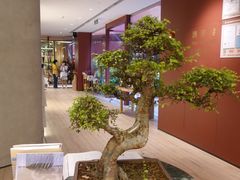 -二酉书店TOYOU BOOKS