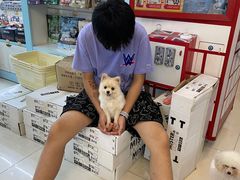 -翊宠yipet猫狗购宠庄园犬舍•猫舍