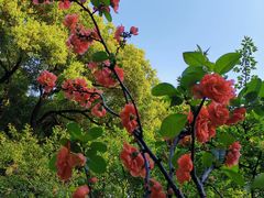-荆川公园