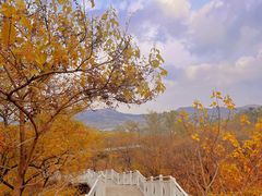 -青岛森林野生动物世界