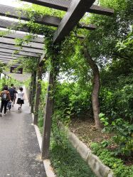 -太湖雪蚕桑文化园