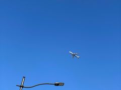 -春花秋色城市公园