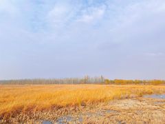 -野鸭湖国家湿地公园