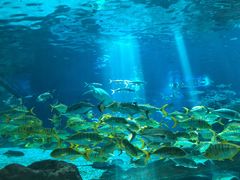 -福州罗源湾海洋世界旅游区