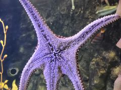 -太平洋海底世界