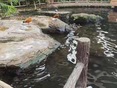-世界地热博览园
