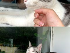 -北京市海淀区翠微小学