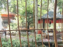 -二荆条·蜀鲜汇城市森林火锅