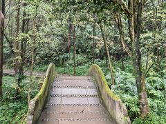 -凤栖山