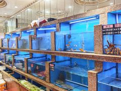 -齐家花园大酒店(宝山店)