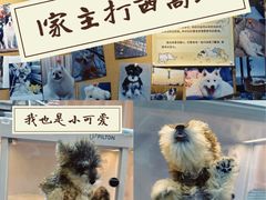 -翊宠yipet猫狗购宠庄园犬舍•猫舍