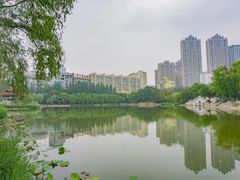 -青城公园