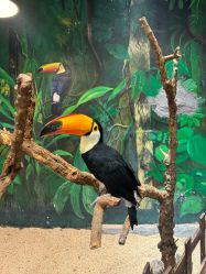 点击看大图 -Zoolung Zoolung动物主题公园(海信广场店)