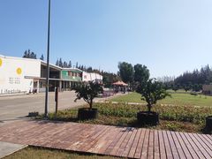 -前小桔亲子创意农场·草莓采摘·露营烧烤