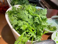 茼蒿-掂档潮汕牛肉火锅(沈阳万象城店)