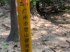 -火炉山森林公园