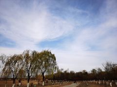 -绿堤公园