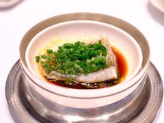 清蒸黄鱼-福1015(愚园路店)