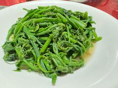 佛手瓜苗-粤北餐馆