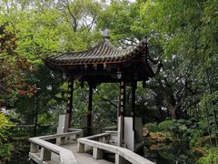 -乌山风景区