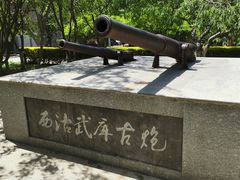 -桃花堤公园