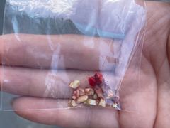 -瑞派·关忠动物医院·异宠专科·犬猫肿瘤·皮肤专科(望京店)