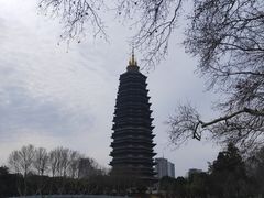 -红梅公园