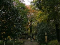 android_upload_pic-常州天宁禅寺