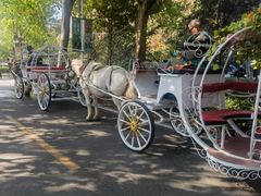 -辛玛王国游乐园