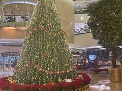 -皇朝尊会(龙之梦大酒店)