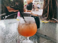 -柴犬高等学院·狗咖·柴犬售卖·宠物训练