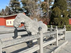 -洛阳白马寺