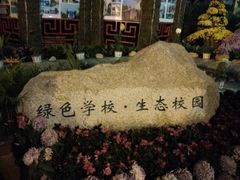 android_upload_pic-西北湖绿化广场