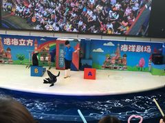 -成都浩海立方海洋公园