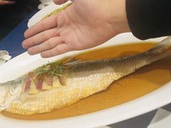 古法秘制蒸鲥鱼-麟1929(外滩店)