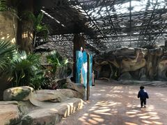 -杭州开元森泊度假乐园