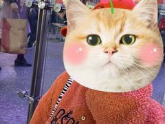 -醉小酒馆·川菜·江湖菜·重庆菜(观音桥旗舰店)