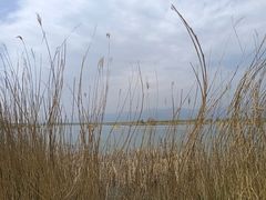 -野鸭湖国家湿地公园