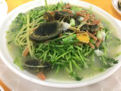 -强记湛江鸡饭店·二十七年老字号(拱北店)