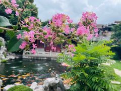 -下海庙