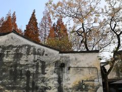 -乌镇景区