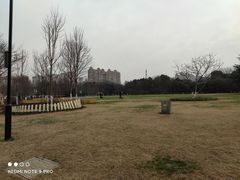 -青枫公园